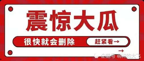 娱乐圈吃瓜合集视频网址